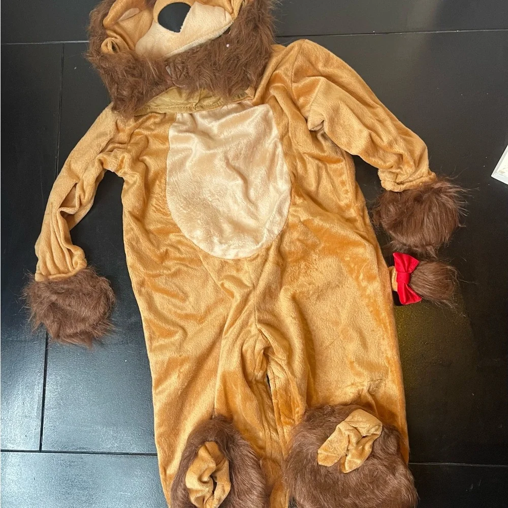 Adorable Lion Costume for Kids